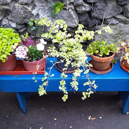 Predio Do Castelo Caloura